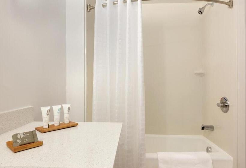 غرفة قياسية سرير كينج, Country Inn & Suites By Radisson, Romeoville, Il