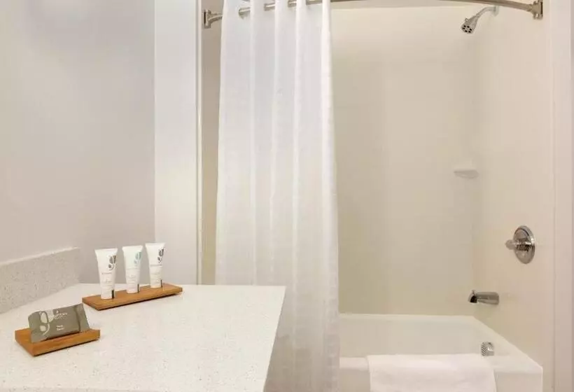 キングサイズベッドのスタンダードルーム, Country Inn & Suites By Radisson, Romeoville, Il