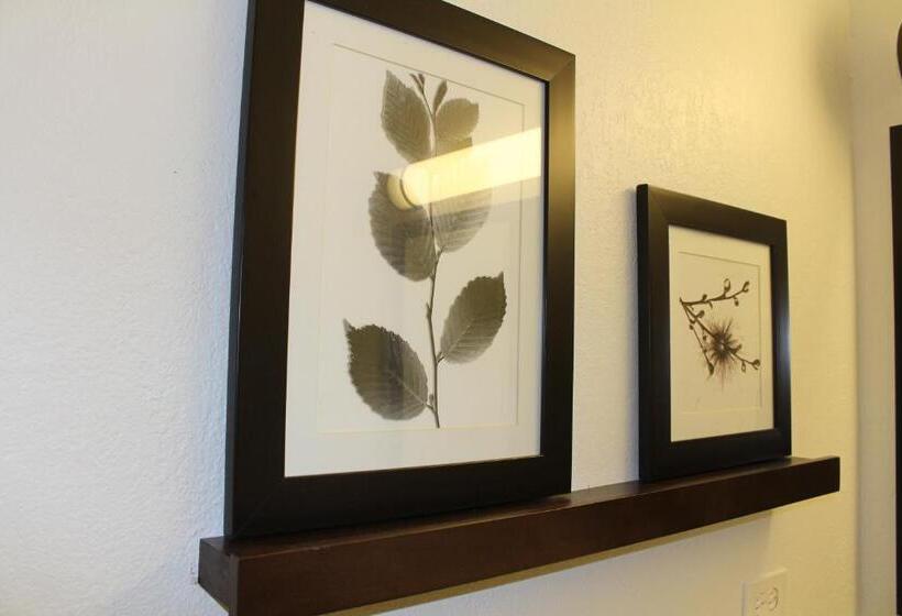 غرفة قياسية, Country Inn & Suites By Radisson, Romeoville, Il