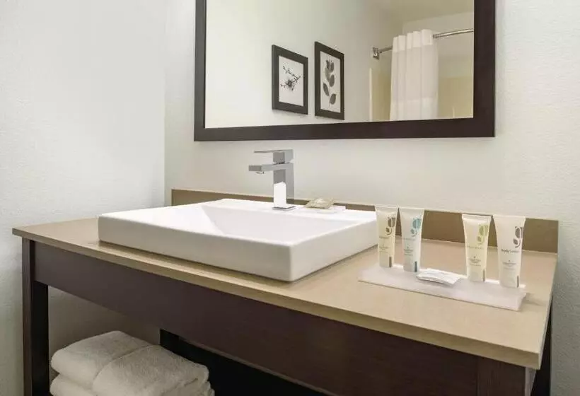 身障者適用スタンダードルーム, Country Inn & Suites By Radisson, Romeoville, Il