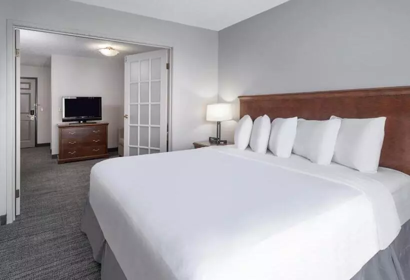 キングサイズベッドのスイートルーム, Country Inn & Suites By Radisson, Toledo, Oh