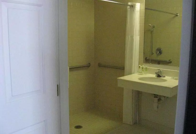 身障者適用キングサイズベッドルーム, Country Inn & Suites By Radisson, Wausau, Wi