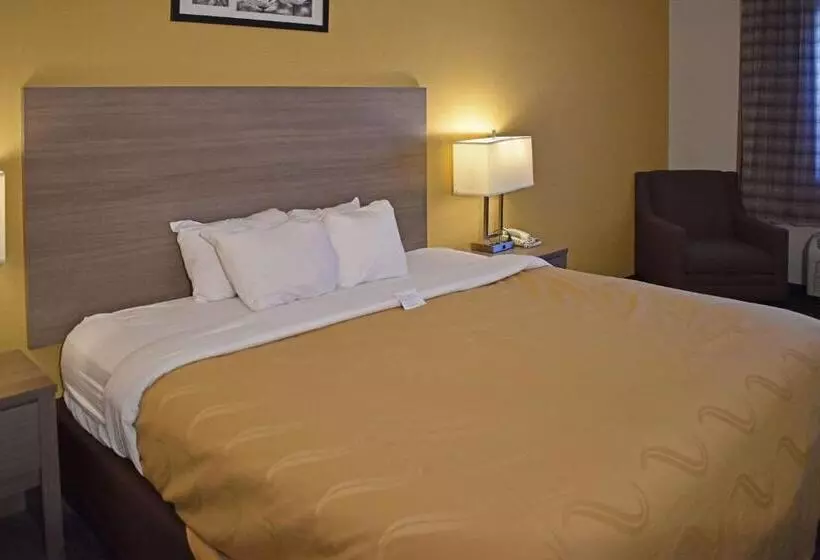 キングサイズベッドのスタンダードルーム, Quality Inn & Suites Kearneysville  Martinsburg