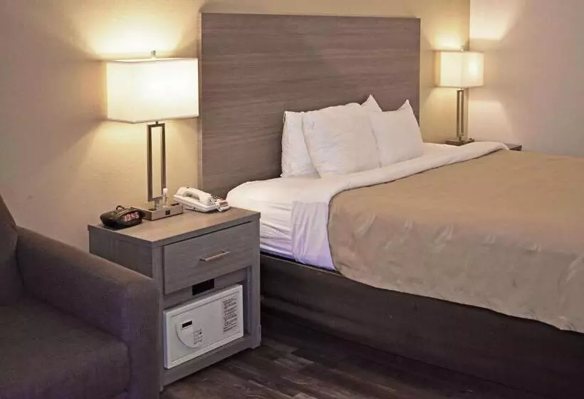 身障者適用キングサイズベッドルーム, Quality Inn & Suites Kearneysville  Martinsburg