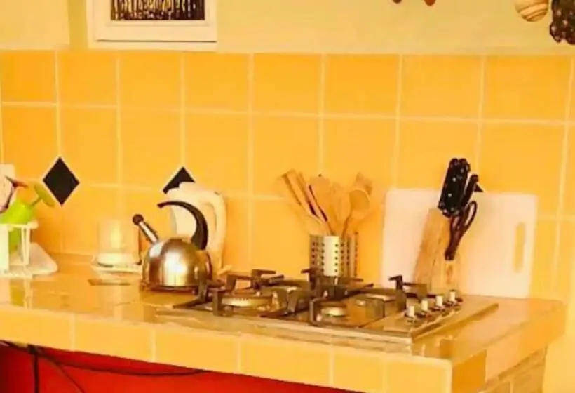 اتاق استاندارد با تخت بزرگ, Courtesy Apartments Aruba