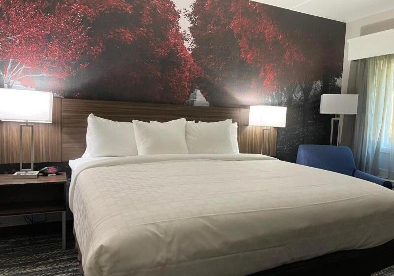 Полулюкс Вид на Море, Bahia Principe Luxury Tenerife