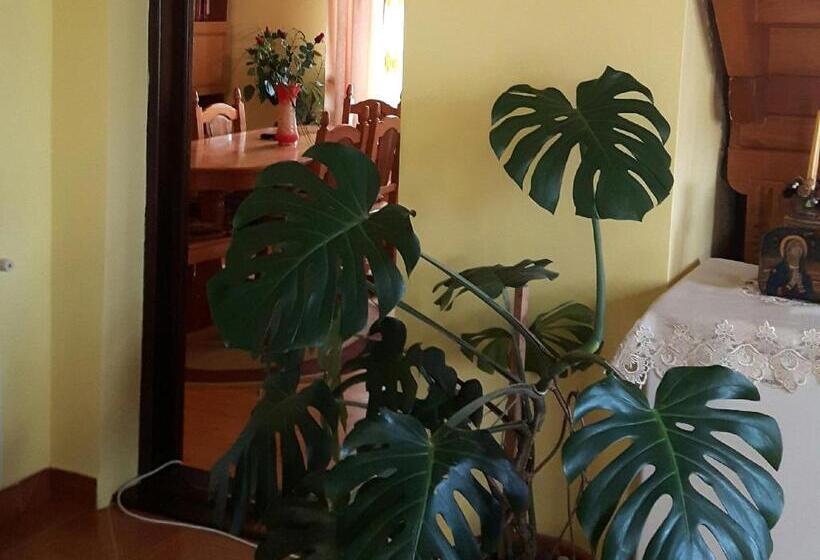 Апартаменты 3 Спальни, Pensiunea Diana