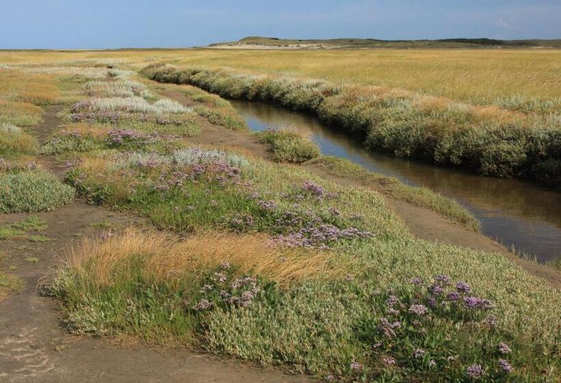 غرفة قياسية, T Lant Van Texsel