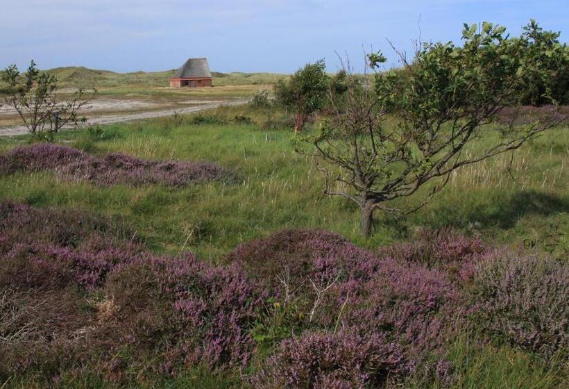 غرفة قياسية, T Lant Van Texsel