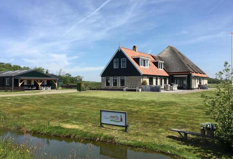 غرفة قياسية, T Lant Van Texsel