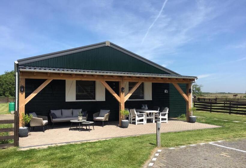 غرفة قياسية, T Lant Van Texsel