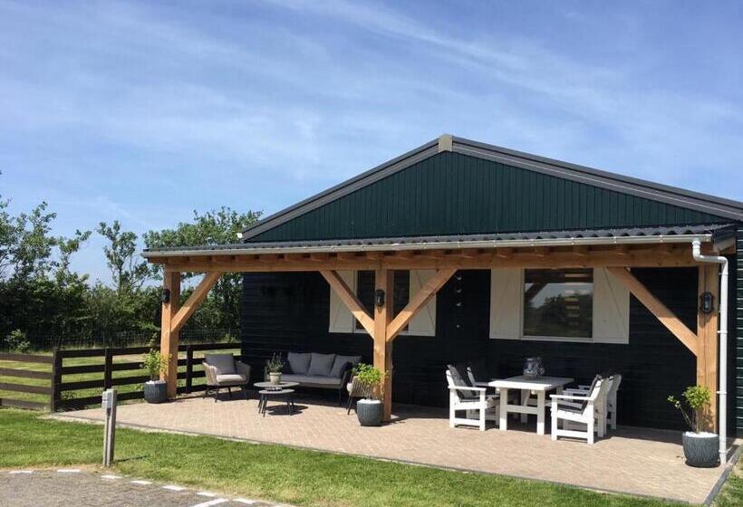 غرفة قياسية, T Lant Van Texsel