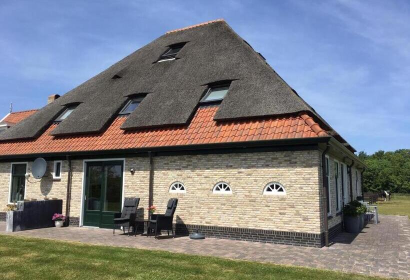 غرفة قياسية مزوَّدة بتراس, T Lant Van Texsel