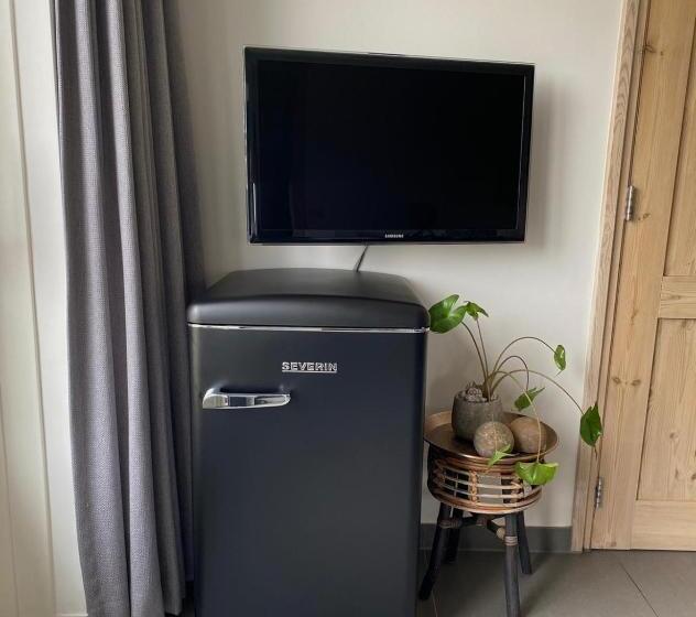 غرفة قياسية مزوَّدة بتراس, T Lant Van Texsel