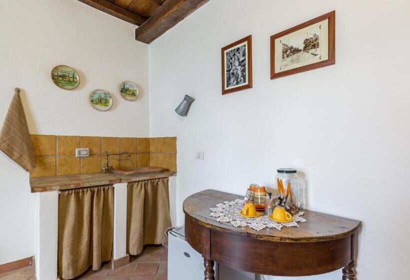 Номер Стандарт, Fondo Cipollate