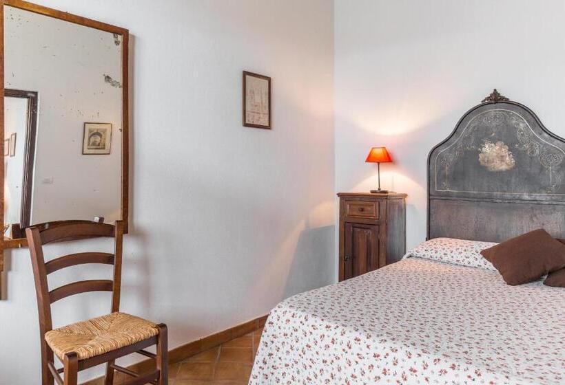 Номер Deluxe, Fondo Cipollate