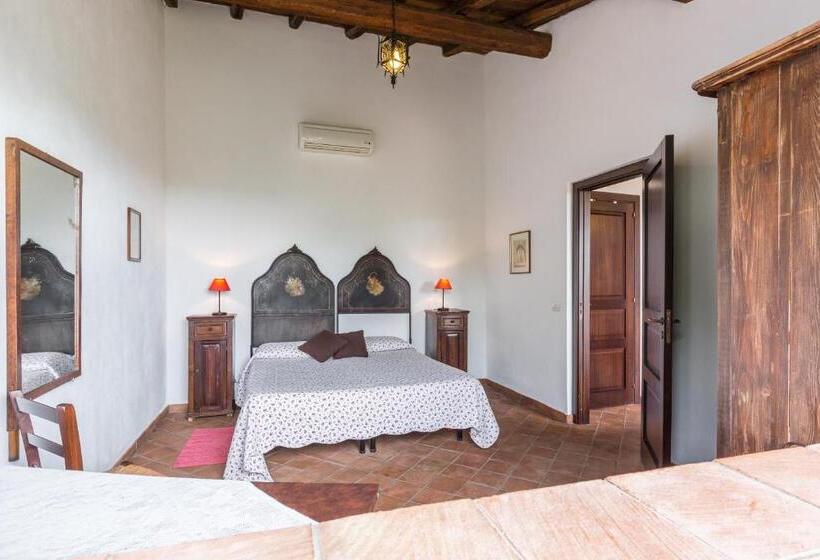 Quarto Deluxe, Fondo Cipollate