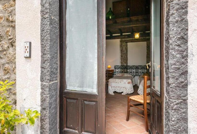 Семейный Номер, Fondo Cipollate