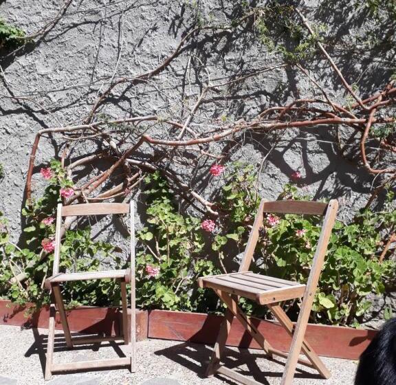 StandaardKamer, De Luna