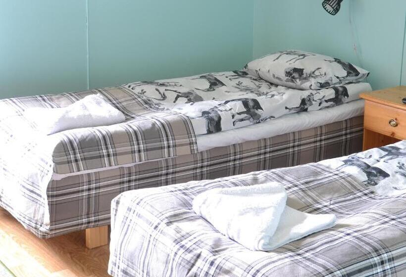 バス共有のスタンダードルーム, Tenon Eräkievari