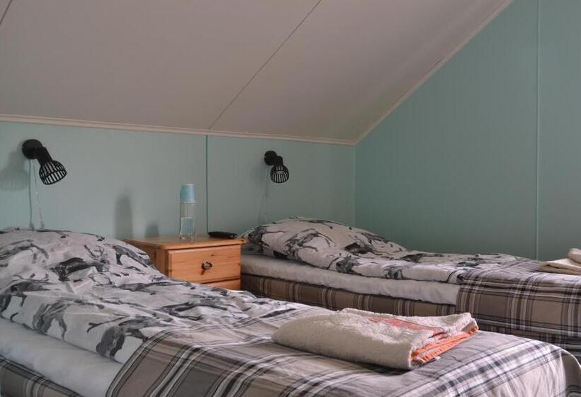 バス共有のスタンダードルーム, Tenon Eräkievari