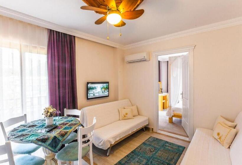 סוויטה, Gumus Konak