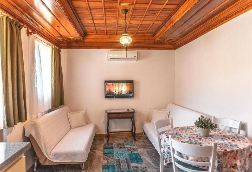 סוויטת ג'וניור נוף הרים, Gumus Konak