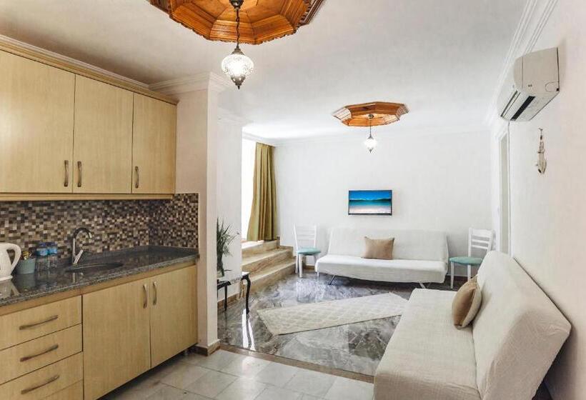 סוויטה משפחתית, Gumus Konak