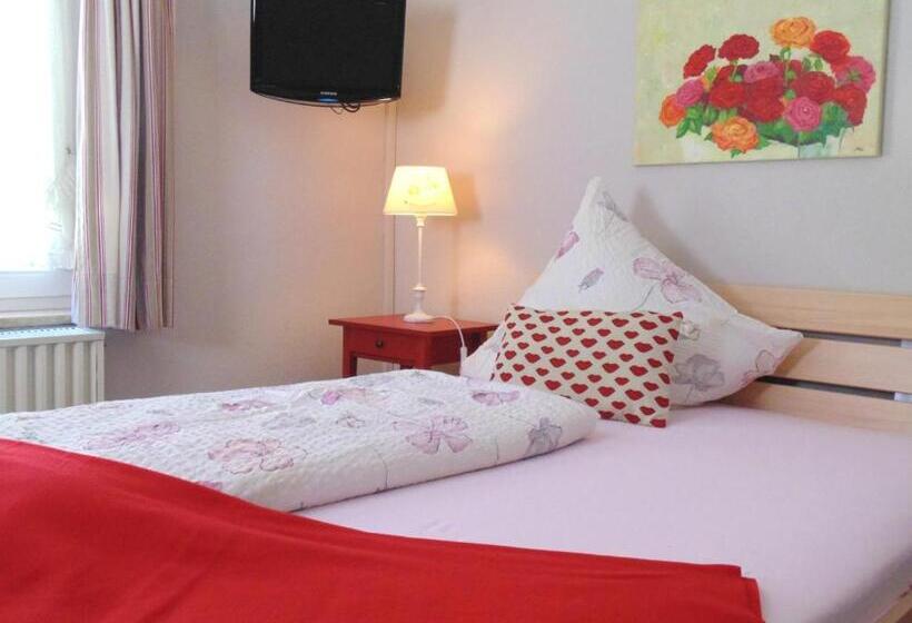 غرفة قياسية مزوَّدة بتراس, Allgäu Sonne