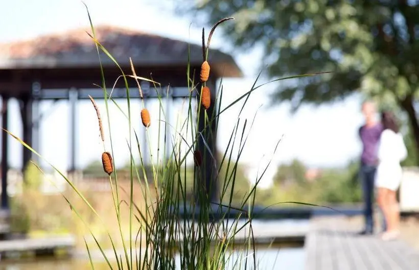 １ベッドルームのスーペリアアパートメント, Maison Des Vignes