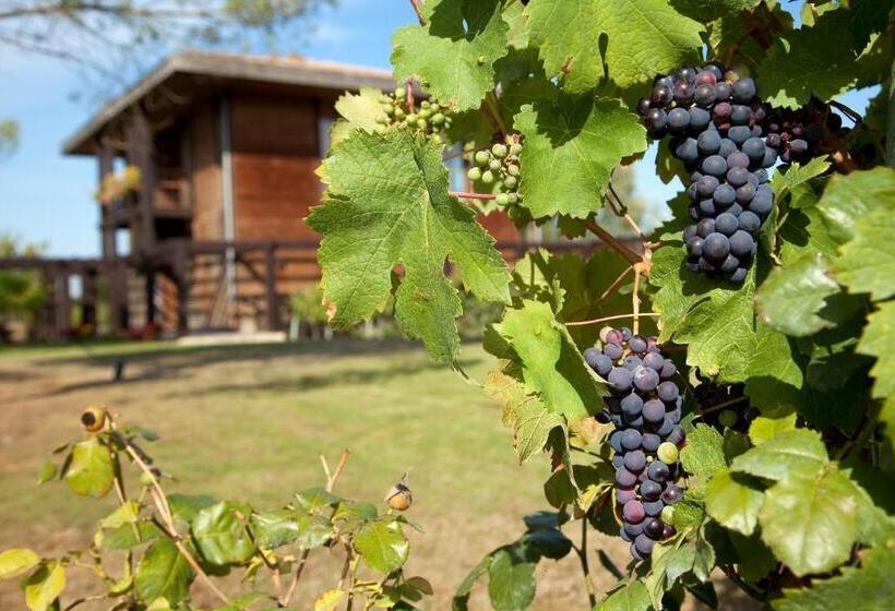 Апартаменты Superior 1 Спальня, Maison Des Vignes