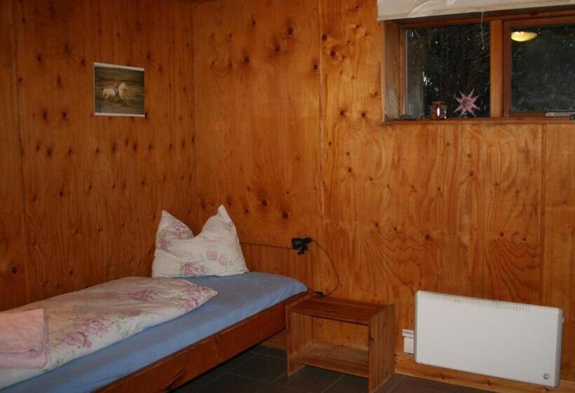 اتاق استاندارد با سرویس بهداشتی مشترک, Brekkulækur Guesthouse