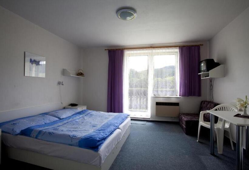 חדר סטנדרט לארבעה, Penzion Vaněk