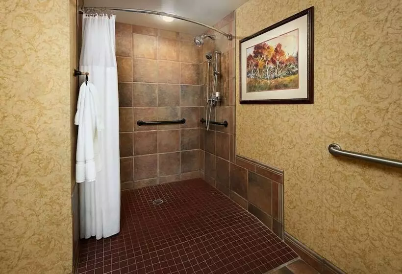 اتاق استاندارد با 2 تخت دوبل, Chateau On The Lake Resort Spa And Convention Center