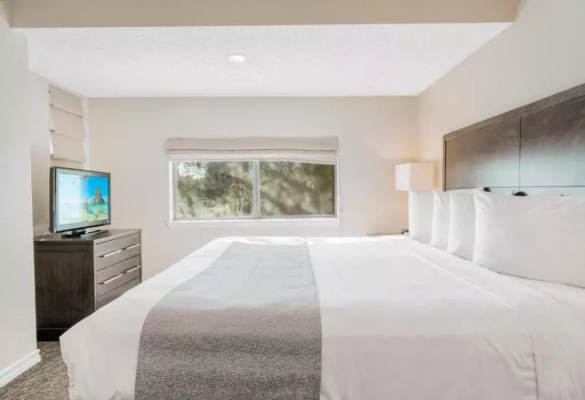 ２ベッドスイートルーム, Chase Suite  El Paso