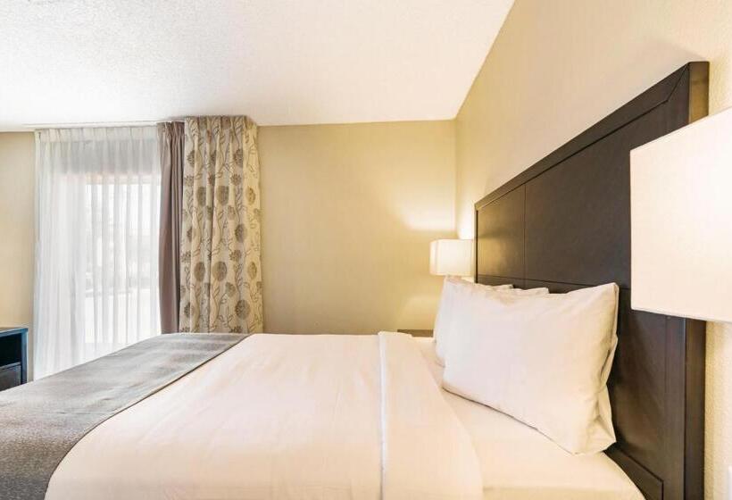 ２ベッドスイートルーム, Chase Suite  El Paso