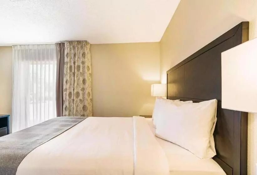 ２ベッドスイートルーム, Chase Suite  El Paso