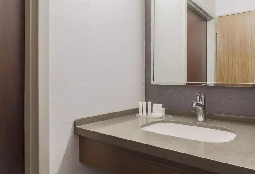 キングサイズベッドのスタンダードルーム, Courtyard By Marriott Boulder Broomfield