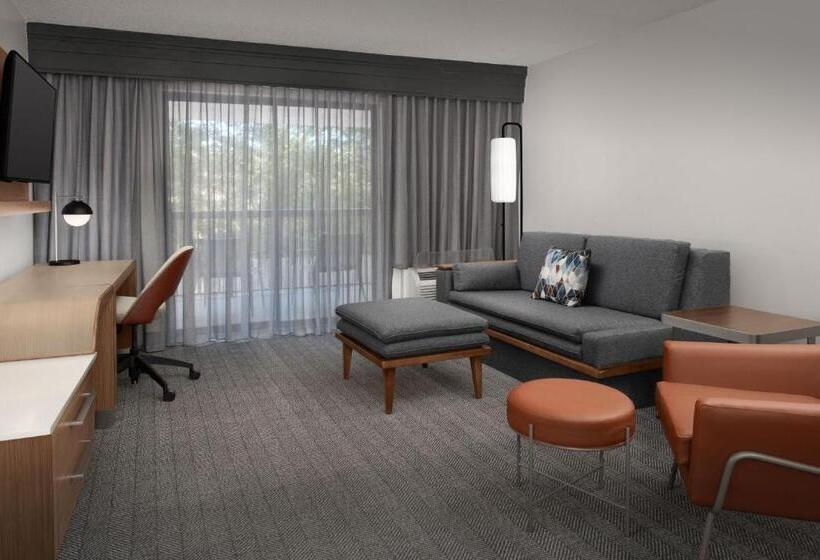 سوئیت با تخت بزرگ, Courtyard By Marriott Dothan