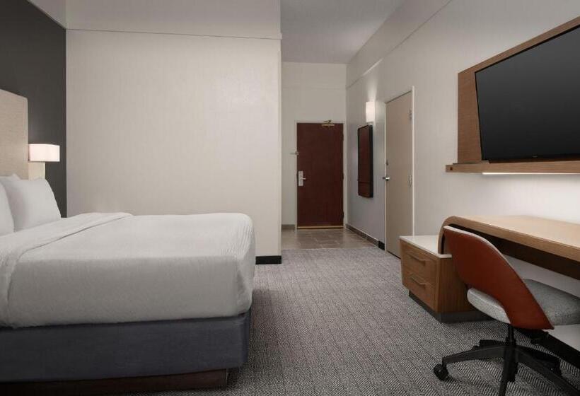 اتاق استاندارد با تخت بزرگ, Courtyard By Marriott Dothan