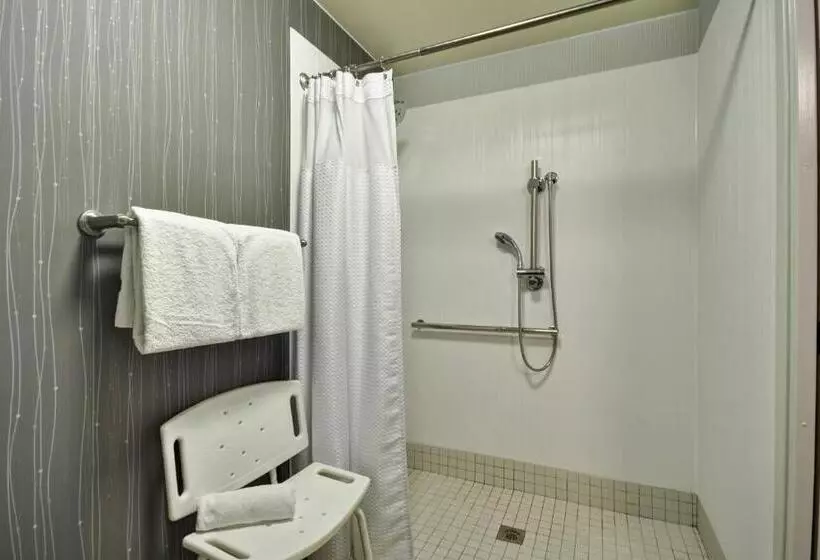 اتاق استاندارد با تخت بزرگ, Courtyard Dallas Medical Market Center