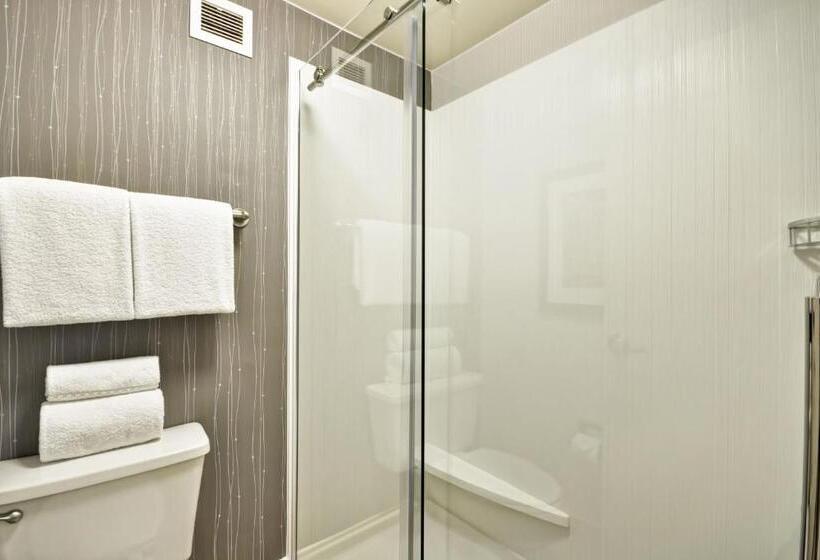 Стандартный Номер Кровать Кинг, Courtyard Dallas Medical Market Center