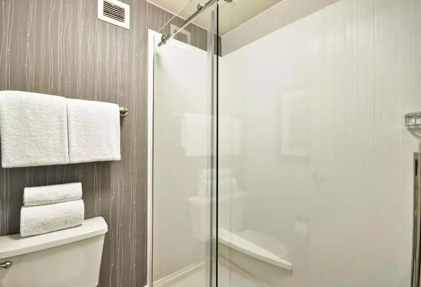 اتاق استاندارد با تخت بزرگ, Courtyard Dallas Medical Market Center