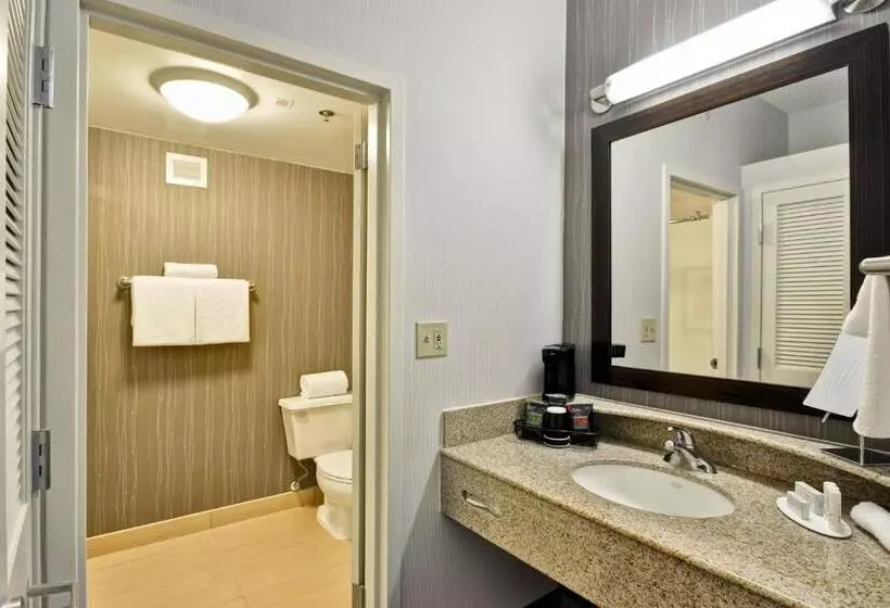 اتاق استاندارد, Courtyard Dallas Medical Market Center
