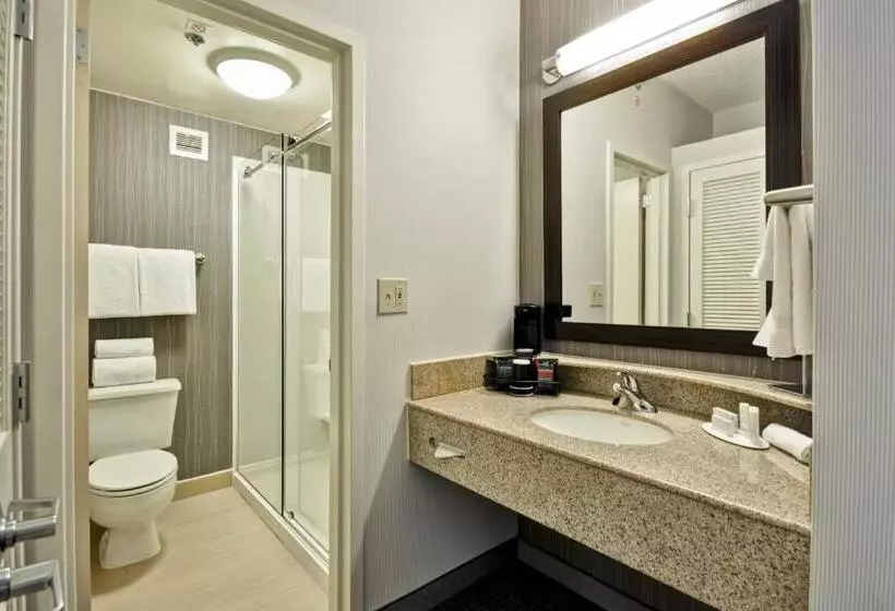 سوئیت با تخت بزرگ, Courtyard Dallas Medical Market Center
