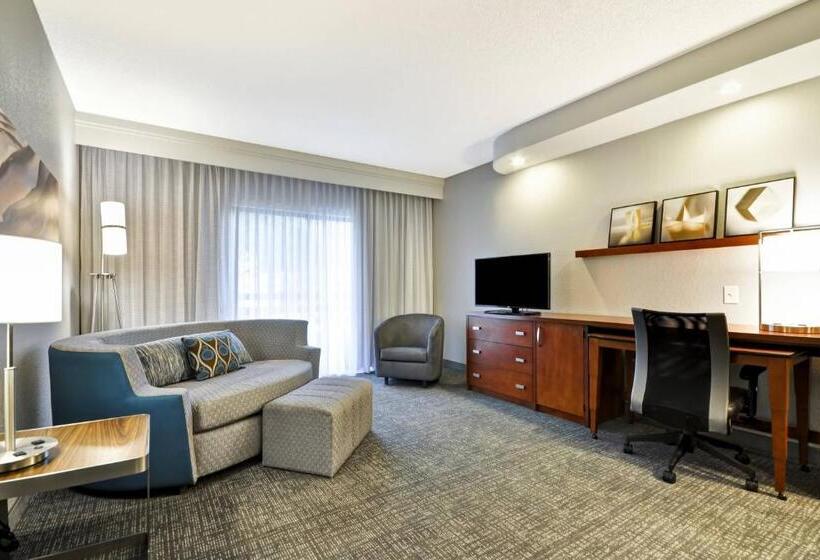 带大床的套房, Courtyard Dallas Medical Market Center