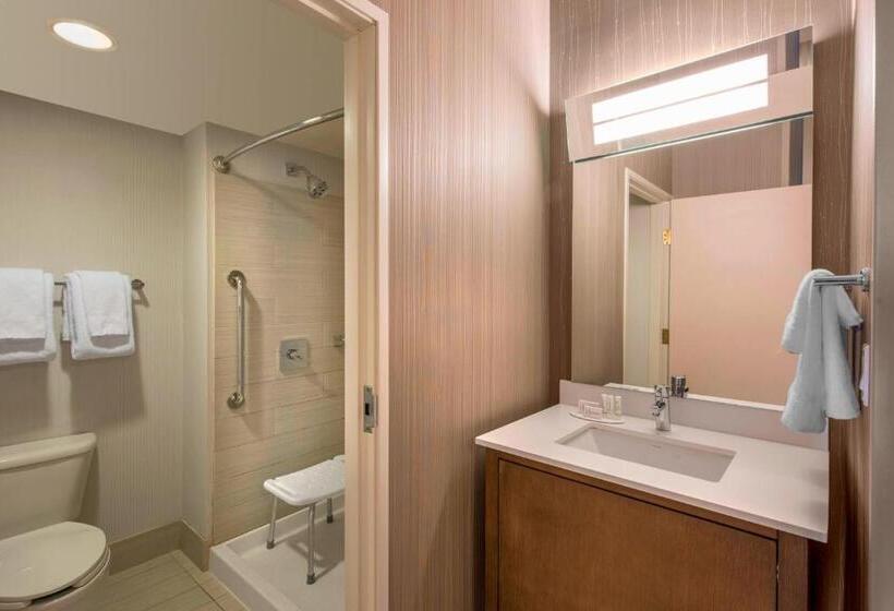 اتاق لوکس با تخت بزرگ, Courtyard By Marriott Henderson   Green Valley   Las Vegas