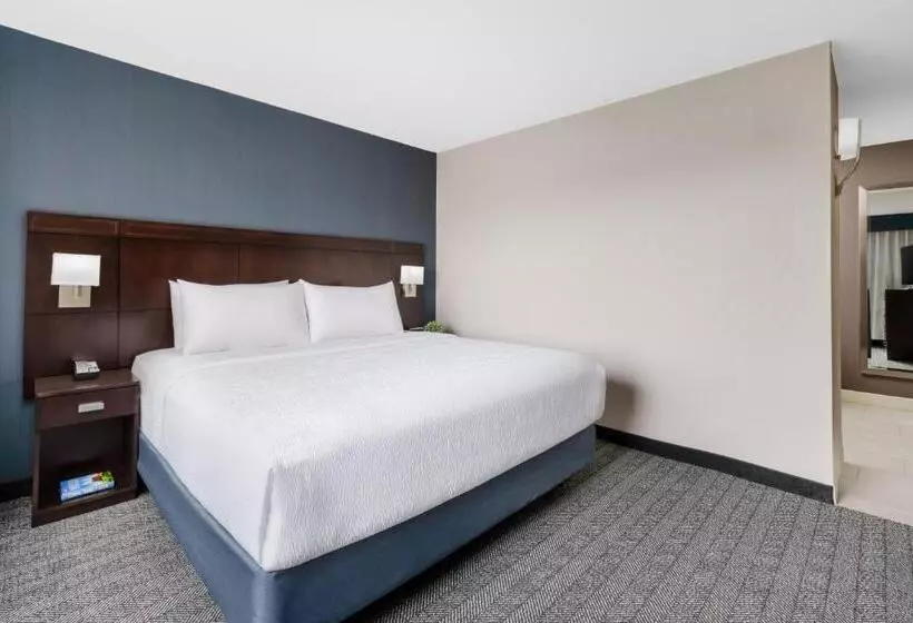 سوئیت با تخت بزرگ, Courtyard Manchesterboston Regional Airport