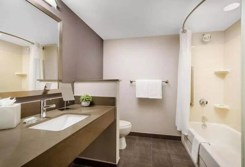 سوئیت با تخت بزرگ, Courtyard Manchesterboston Regional Airport