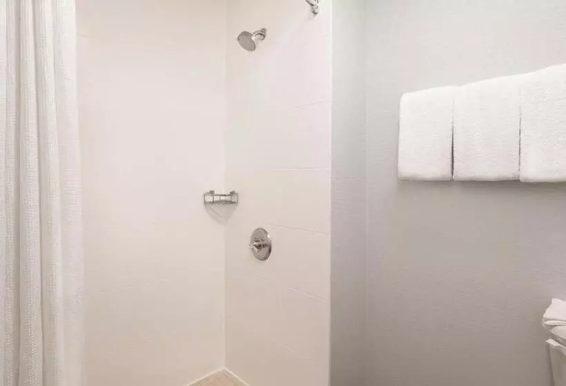 اتاق استاندارد با تخت بزرگ, Courtyard Salt Lake City Airport